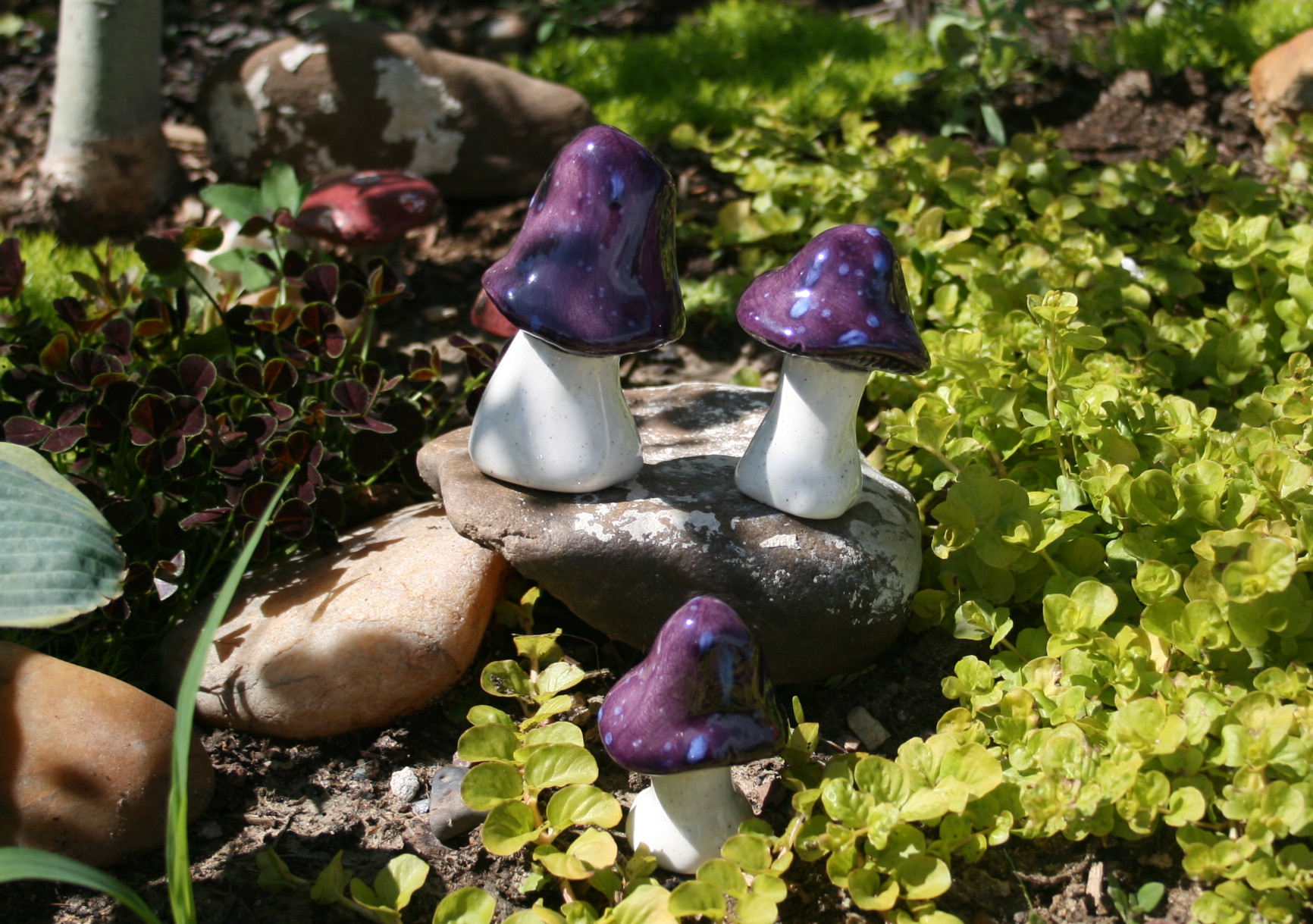 Toadstools